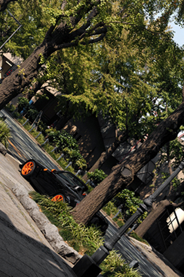 111008 prince DSC_3632.jpg